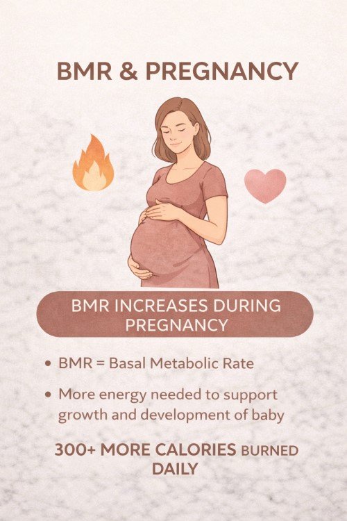 BMR during pregnancy and postpartum changes