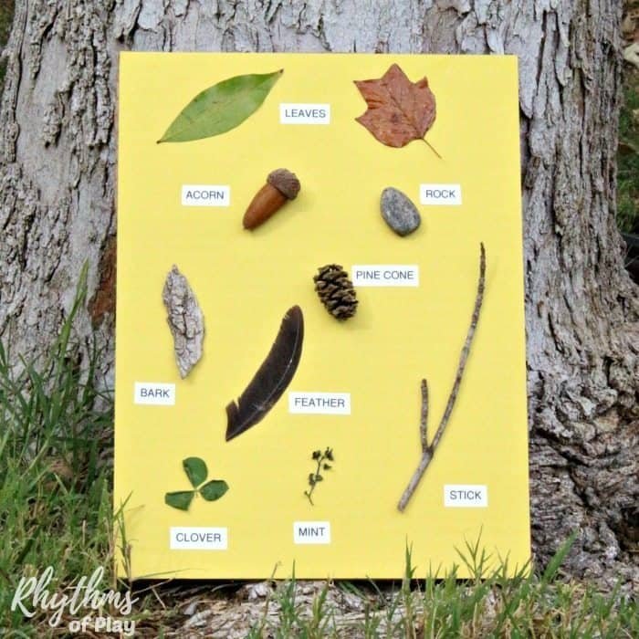 Nature Hunt Bin